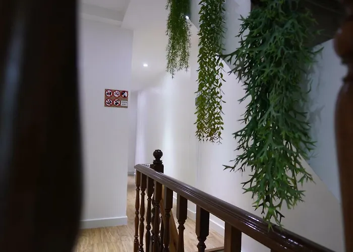 Beebedz Hostel